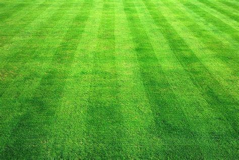 grass green background|Iba pa.